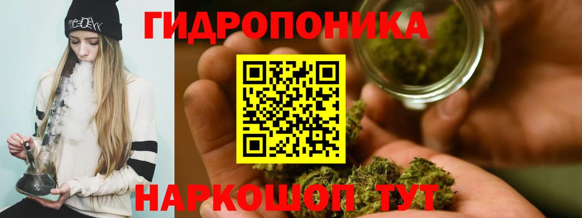 Бошки Шишки семена Омск